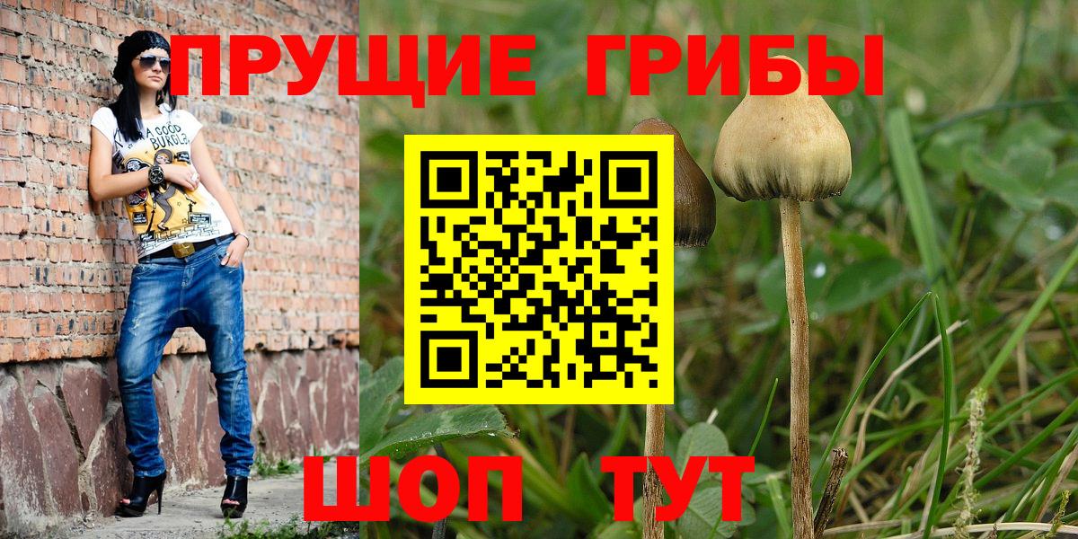 Псилоцибиновые грибы прущие грибы  Вход с VPN  Ржев 